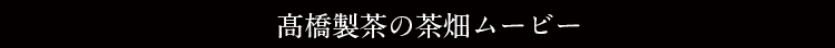 高橋製茶の茶畑ムービー
