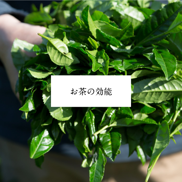 お茶の効能